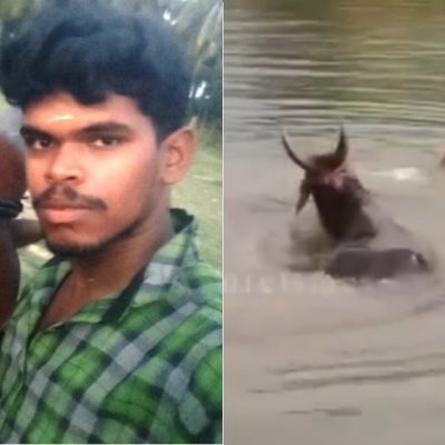 Coimbatore man drowns while filming TikTok with his bull