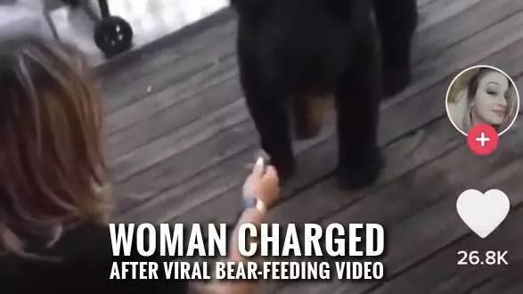 Virginia Woman Facing Charges After Feeding Bear in Gatlinburg