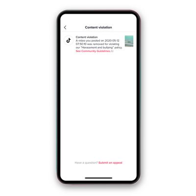 TikTok Will Provide The Video Removal Notification To The User