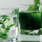 TikTok Users Drinking Chlorophyll Water, Is This Safe TikTok Death