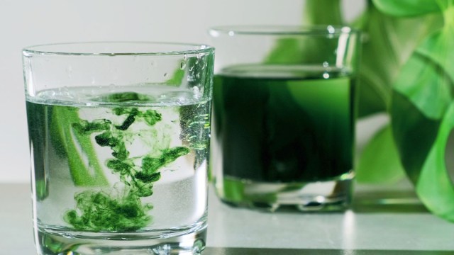 TikTok Users Drinking Chlorophyll Water, Is This Safe TikTok Death
