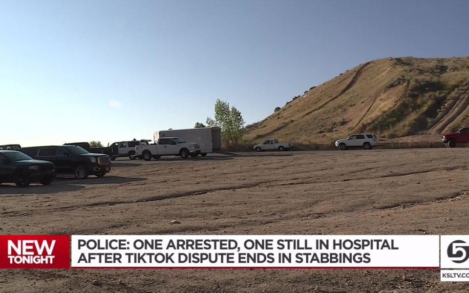 Women Arrested Another Hospitalized After TikTok Dispute Ends in Stabbing TikTok Death